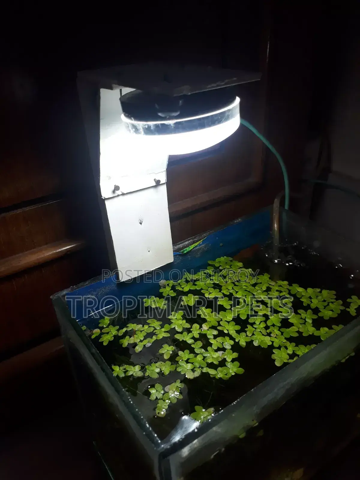 (New) Make Your Custom Light for Aquarium Home Delivery Available