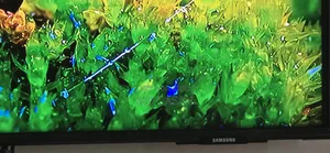 Samsung 55AU8000 55" Crystal UHD Smart TV