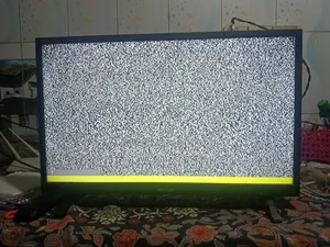 Walton 24 Inch TV