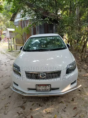 Toyota Axio 2010 White