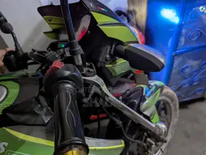 TVS Apache RTR 160 2V 2014 Green