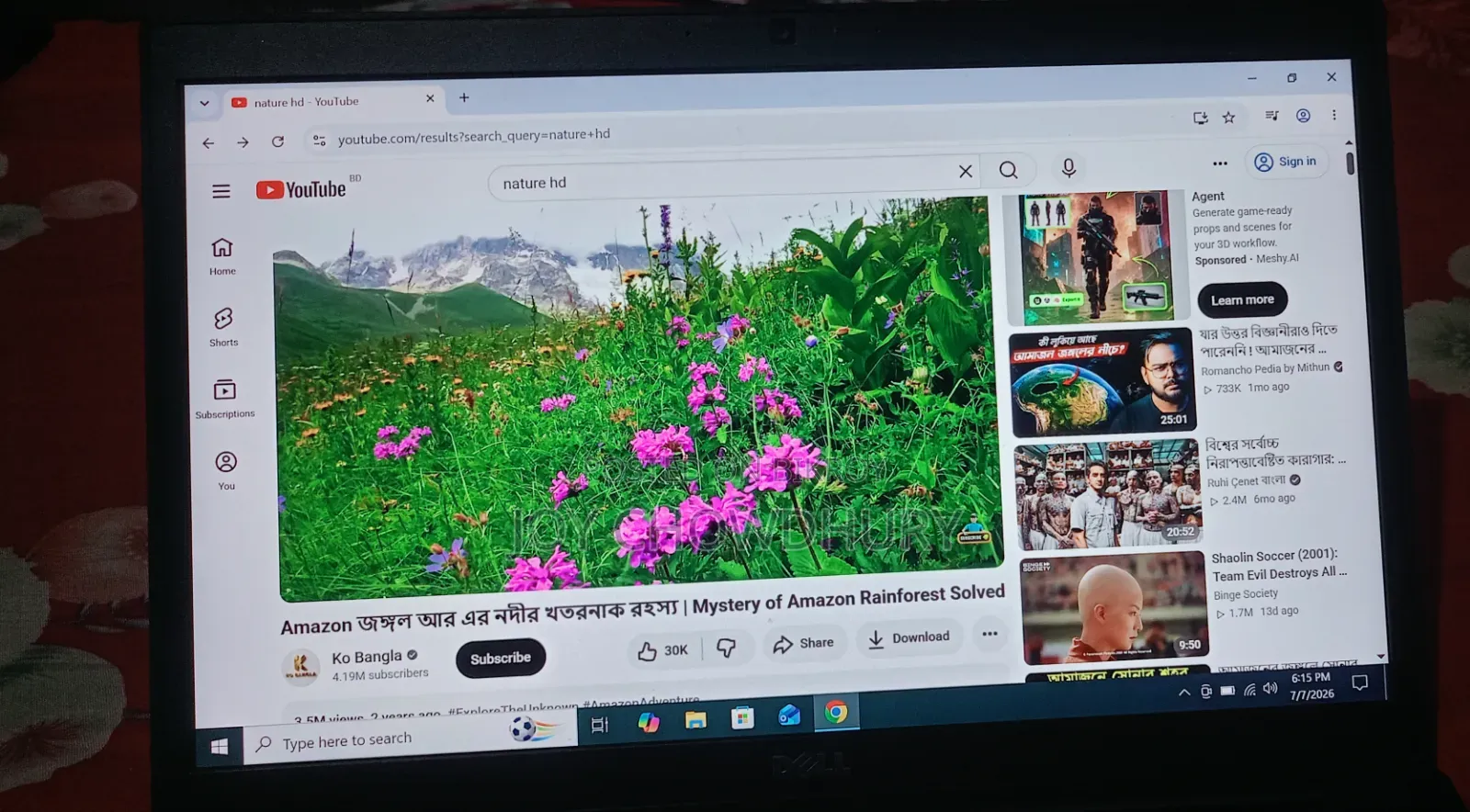 ল্যাপটপ ডেল ইন্সপিরন ১৫ ৩০০০ ৮জিবি ইন্টেল কোর আই৫ এসএসডি ১২৮জিবি