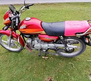 হিরো ইকো ডিলাক্স ২০১৮ লাল