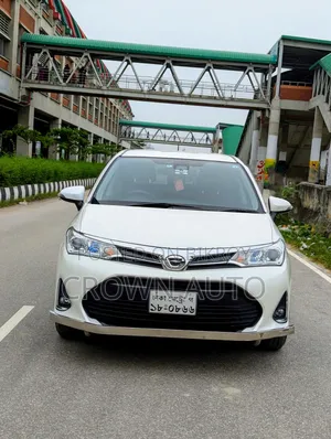 Toyota Corolla Fielder 2018 Pearl