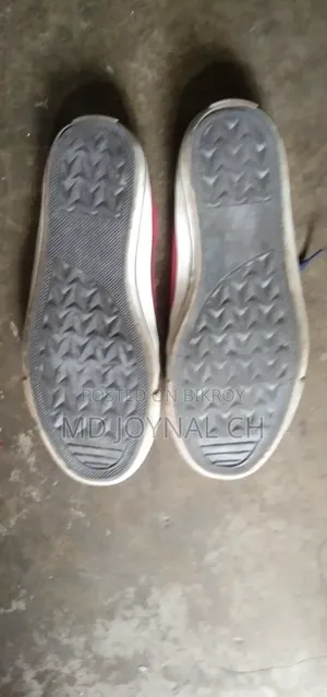 Converse Shoes