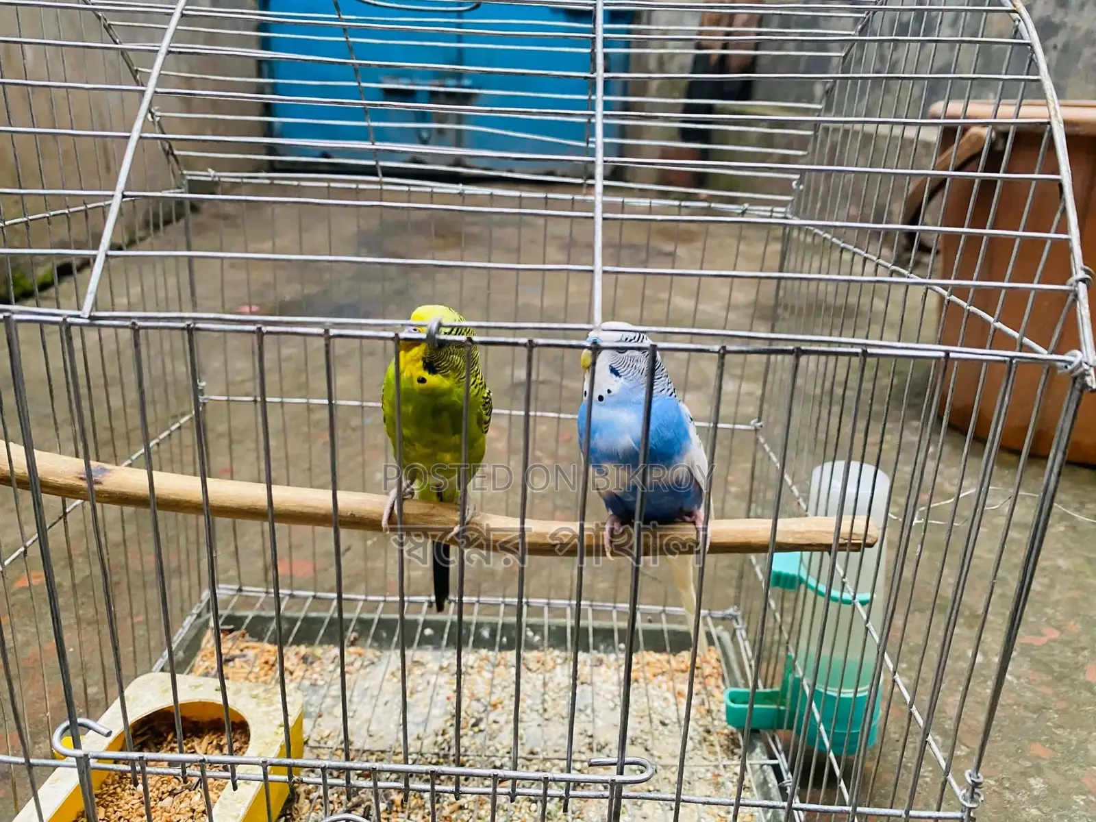 Bird Sell Post