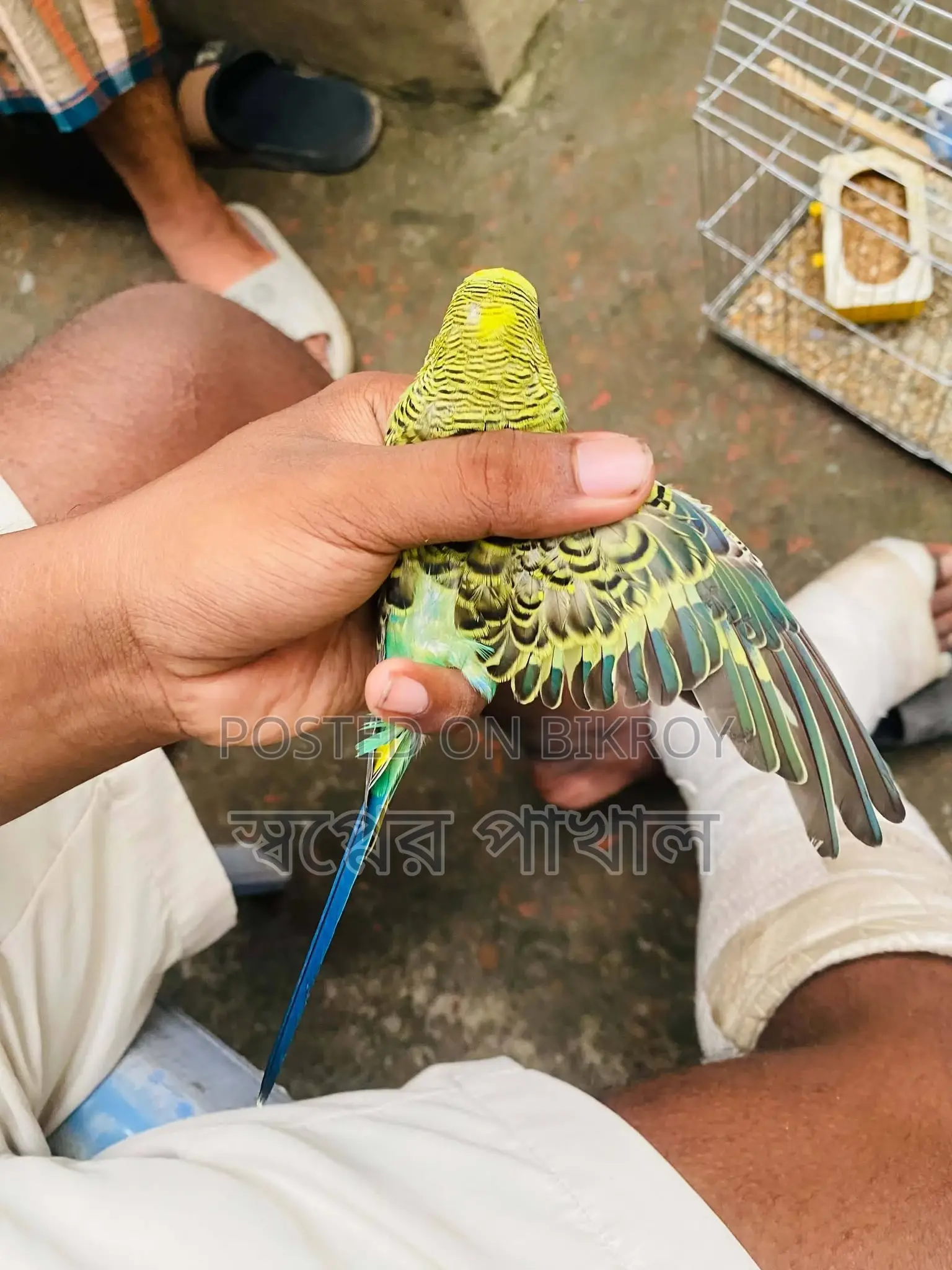 Bird Sell Post