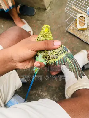 Bird Sell Post