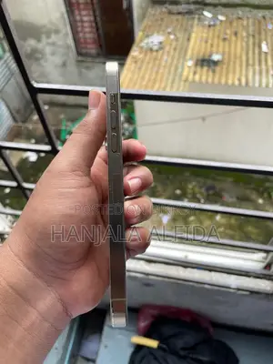 অ্যাপল আইফোন ১৪ প্রো ম্যাক্স ২৫৬ জিবি গোল্ড
