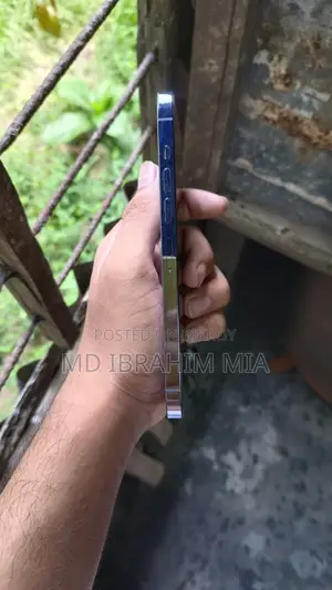 Apple iPhone 13 Pro Max 256 GB Blue