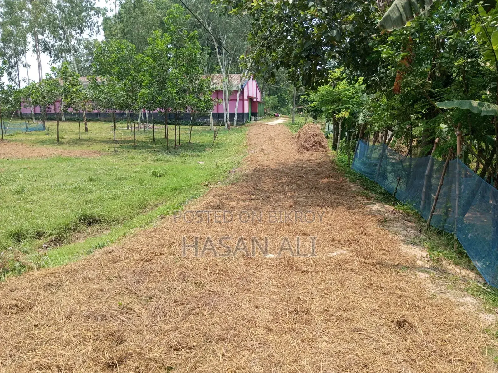 বারোপুরে কারখানা শেড বিক্রয় হবে ১৮ শতাংশ। পাকা দেওয়ালে ঘেরা।