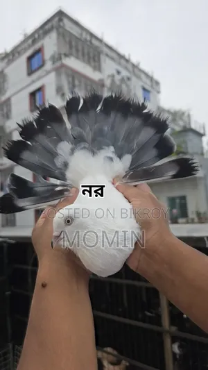 কালদম জোড়া