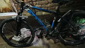 Phoenix Cycle