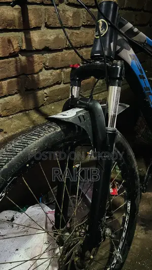 Phoenix Cycle