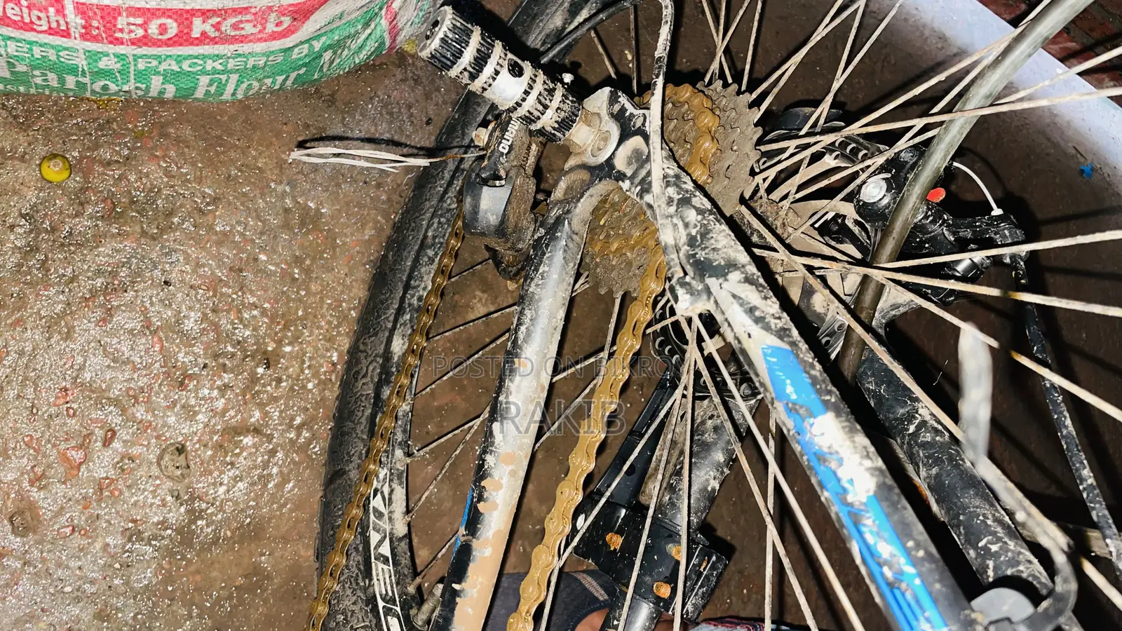 Phoenix Cycle