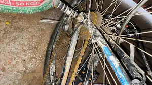 Phoenix Cycle