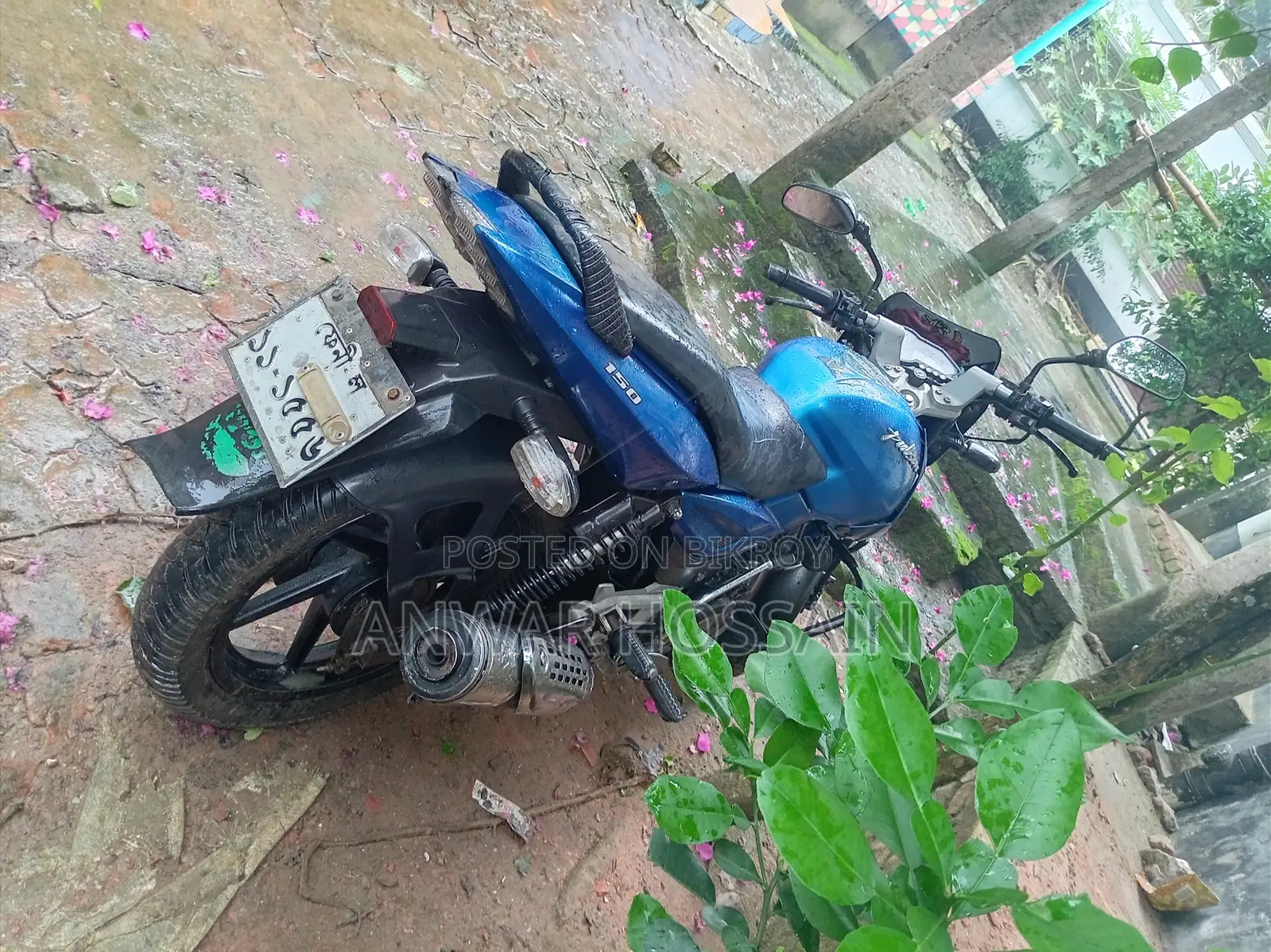 Bajaj Pulsar 150 2012 Blue