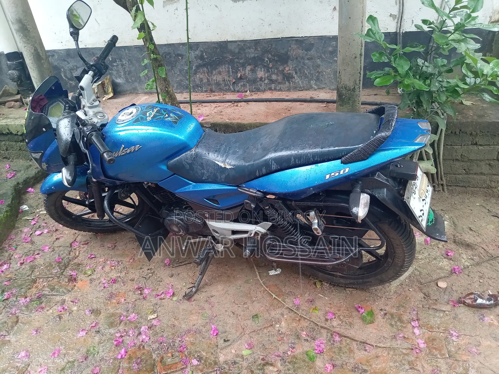 Bajaj Pulsar 150 2012 Blue