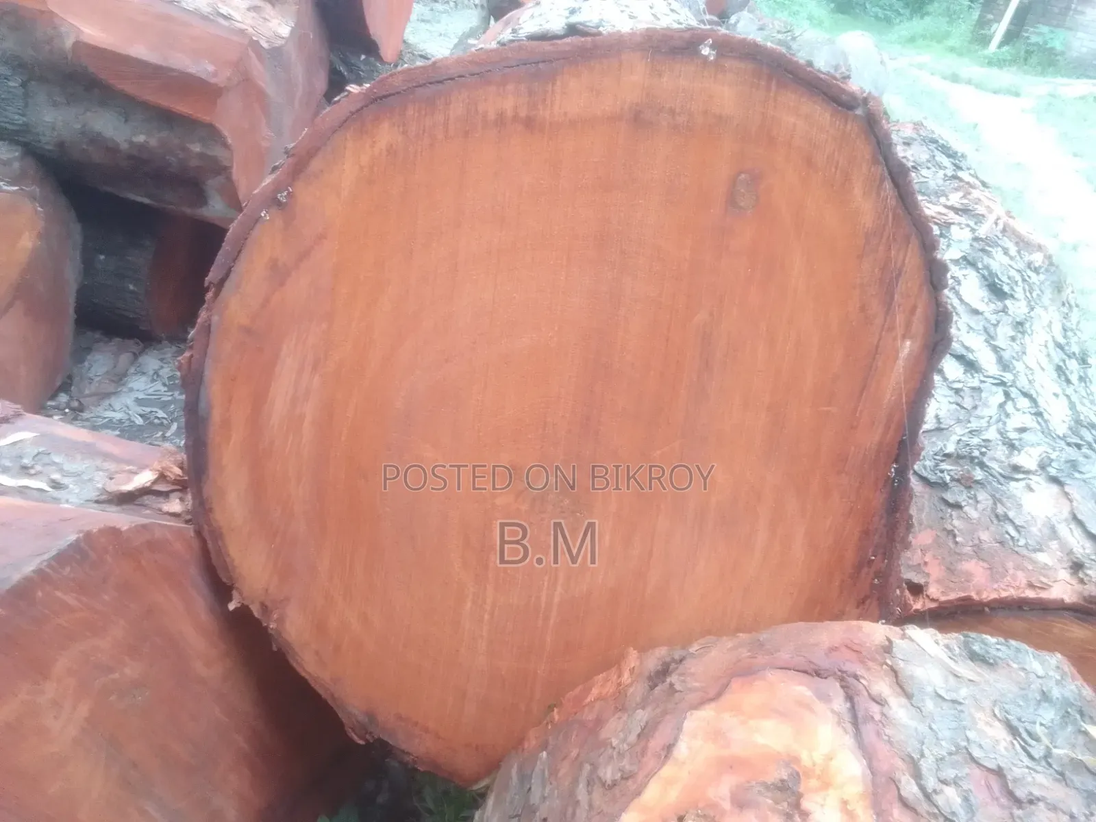 মেহগুনী গুলাই