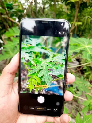 Apple iPhone 11 Pro Max 256 GB Black