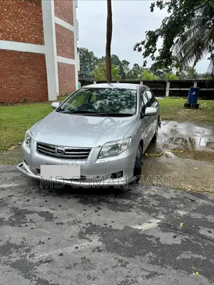 Toyota Axio 2009 Silver
