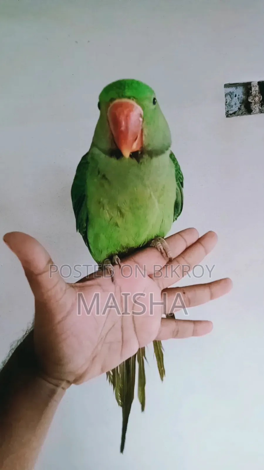আলেকজান্ডার প্যারট