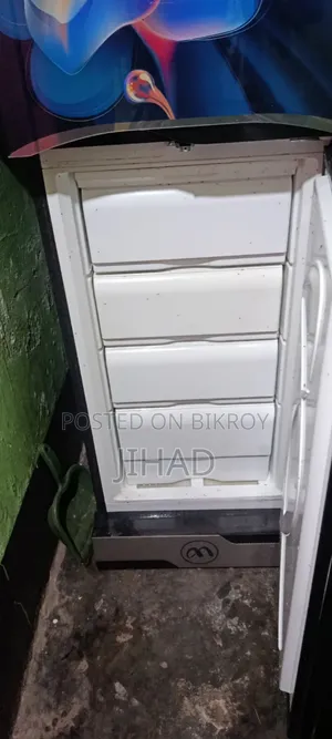 Fridge 252 Liters