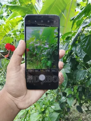 Itel Vision 1 Pro 32 GB Gray