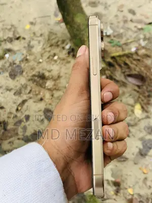 Apple iPhone 16 Pro Max 256 GB Rose Gold