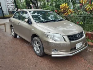 Toyota Axio 1.5 X 4WD 2007 Brown