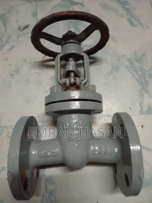 2-piece Industrial Globe Valve