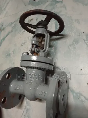 2-piece Industrial Globe Valve