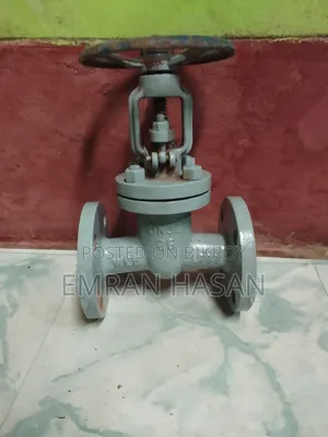 2-piece Industrial Globe Valve