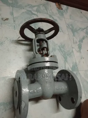 2-piece Industrial Globe Valve