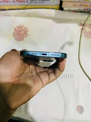 Apple iPhone 12 Pro Max 256 GB Blue