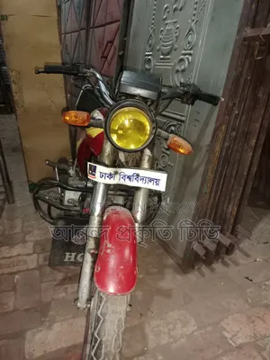 হিরো ডন ১০০ ২০০০ লাল