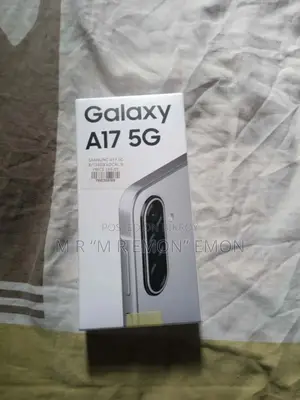 Samsung Galaxy A17 5G 256 GB Silver
