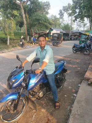 Bajaj Pulsar 150 2017 Blue