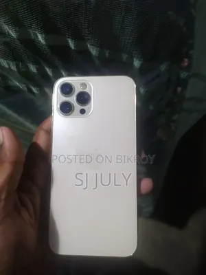 অ্যাপল আইফোন ১২ প্রো ম্যাক্স ২৫৬ জিবি গোল্ড