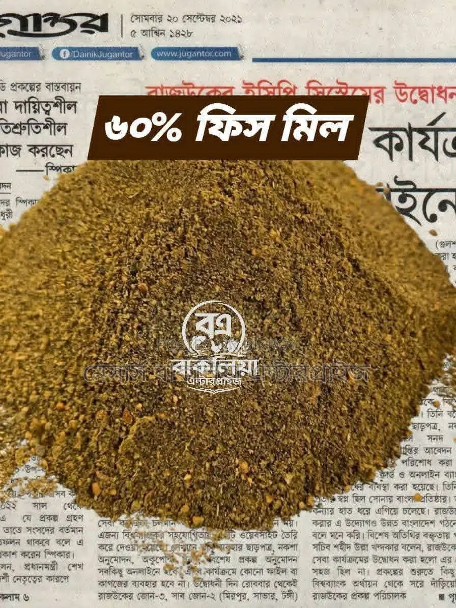 Premium Fish Meal 60% Protein | Wholesale Retail