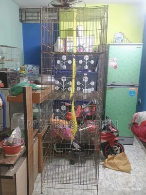 Thick Iron Bar Cage