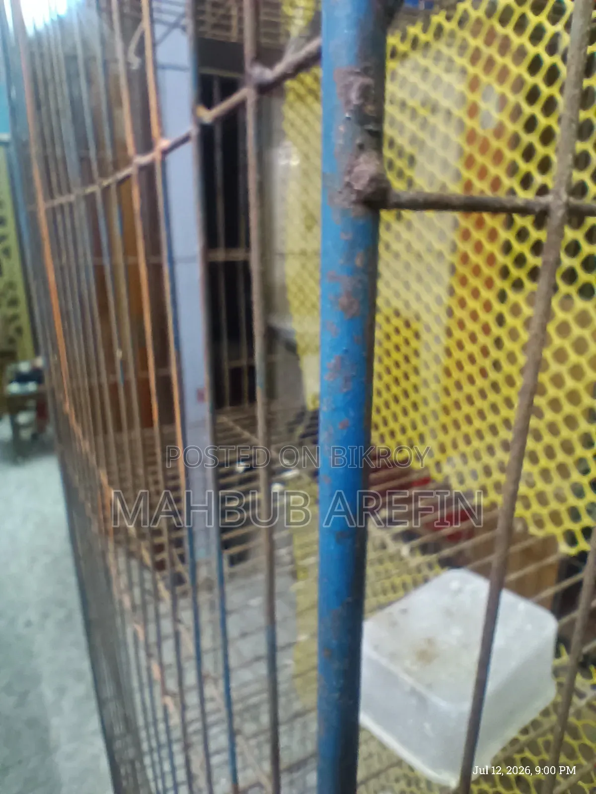 Thick Iron Bar Cage