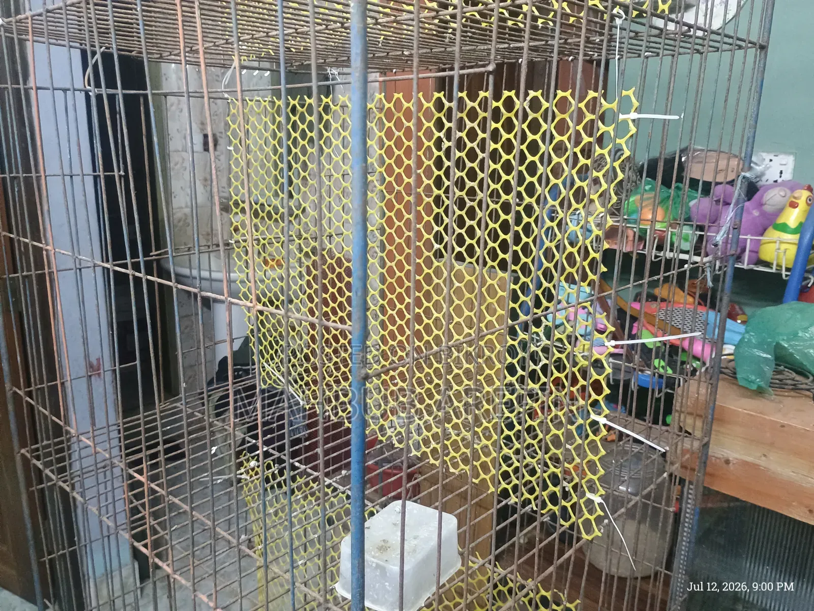 Thick Iron Bar Cage