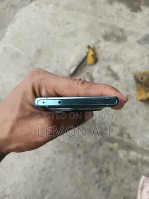 Oppo Find X6 512 GB Green