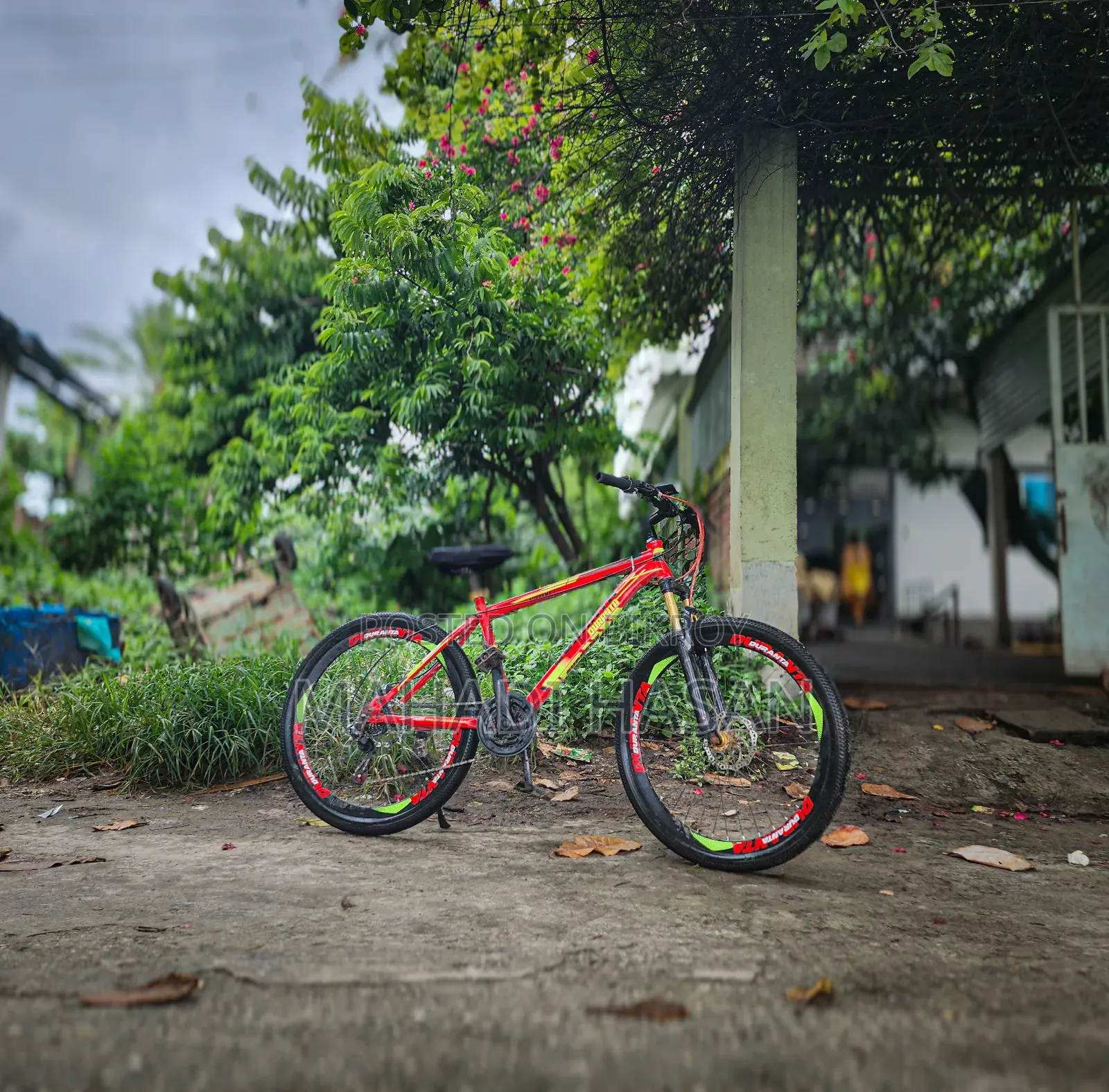 Duronto Cycle