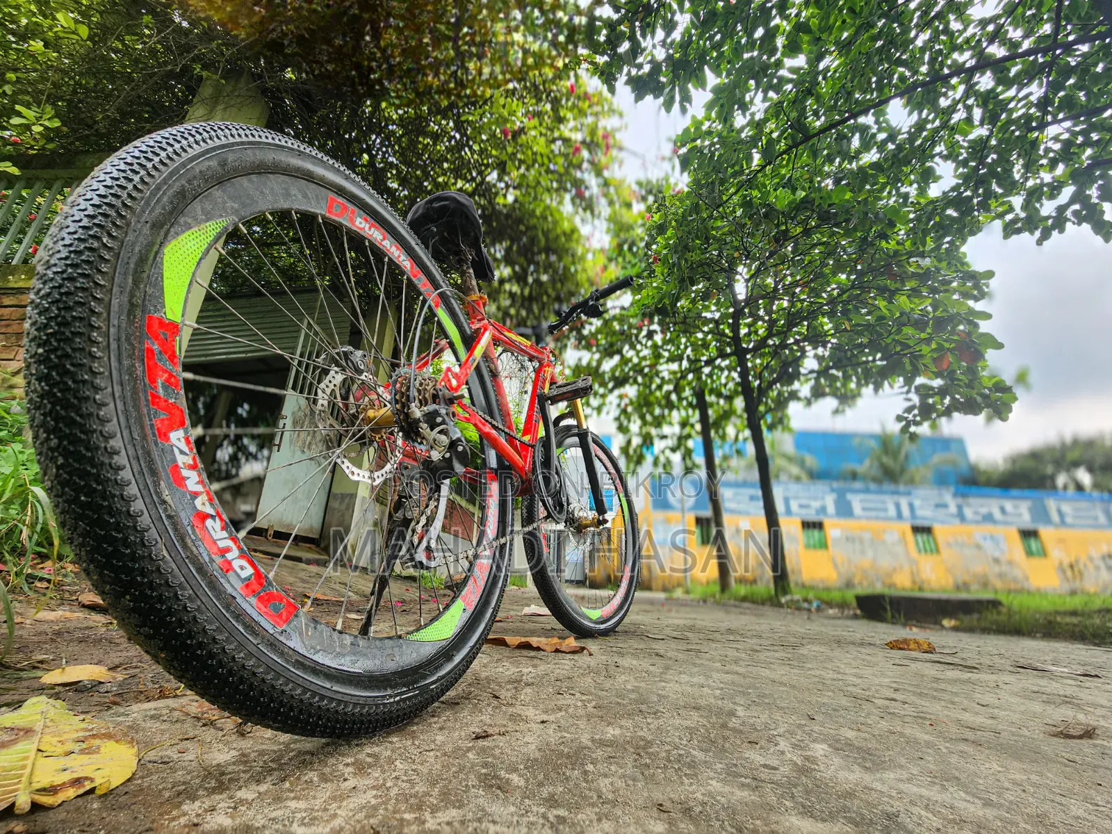 Duronto Cycle