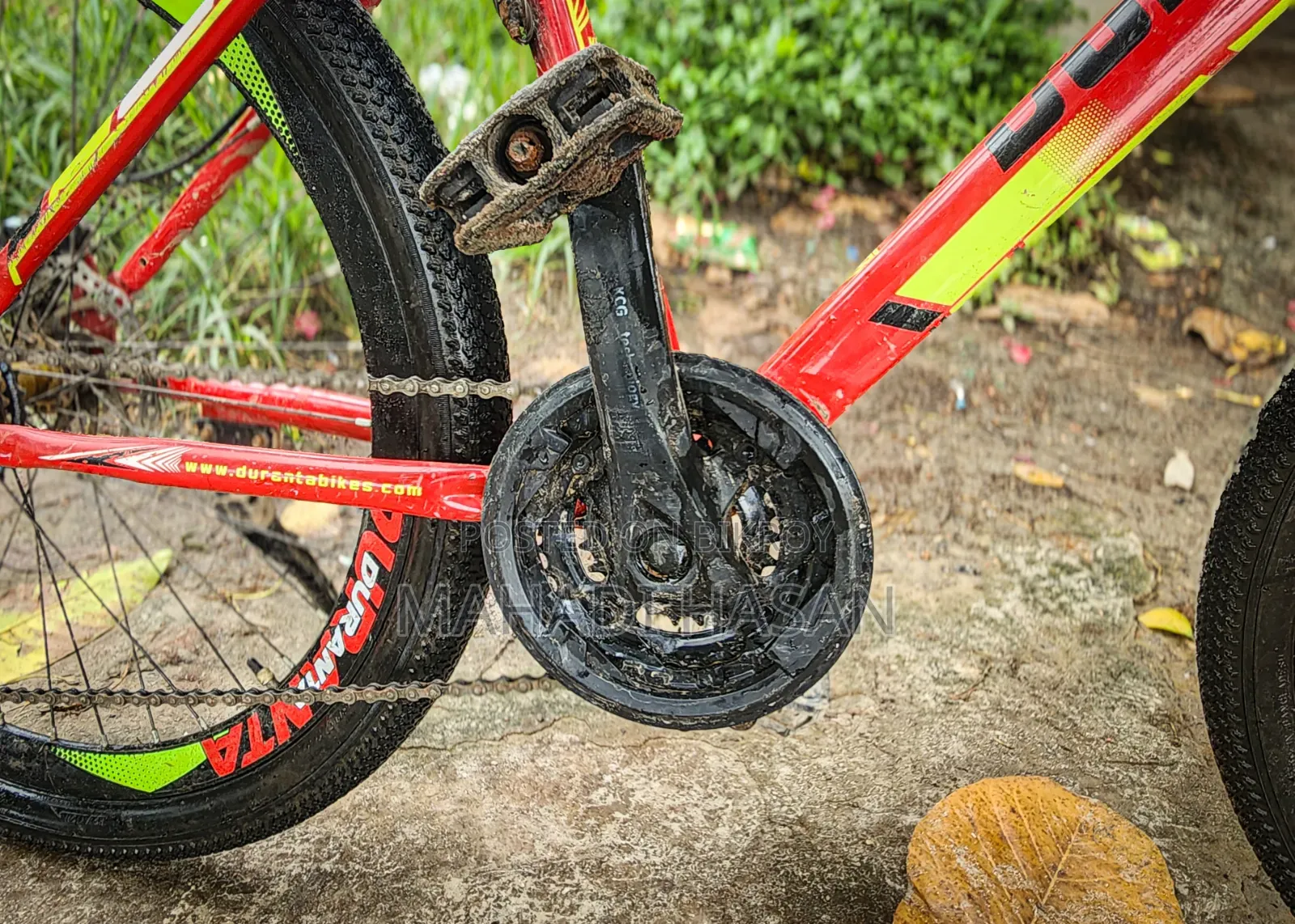 Duronto Cycle
