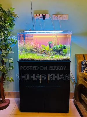 Aquarium Cabinet