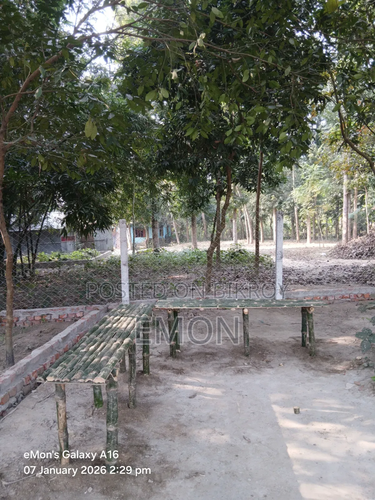Some plots for sale at Ghurulia Saddam Mor