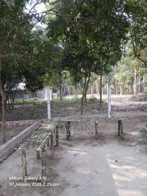 Some plots for sale at Ghurulia Saddam Mor